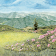roane mountain landscape print