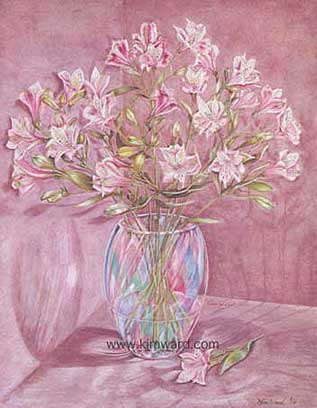 Alstromeria Lilies