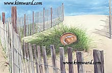 beach hat print, 14 1/2 x 22, 7 x 11