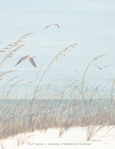 beach seagulls stationery
