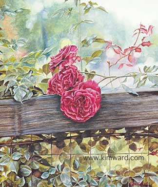 Roses watercolor