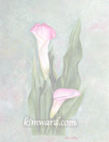 calla lilies stationery