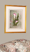 calla Lilies   watercolor Painting.