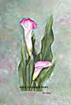 Floral Art - Calla Lilies