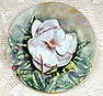  china plate 