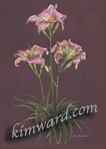 day lily card