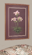 Day Lilies Peach Mauve  Pastel  Painting.