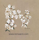 White Dogwoods -Pastel
