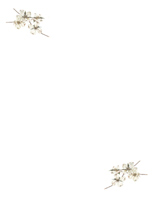 dogwood-stationery stationary