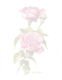 roses stationary