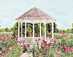 greeting card-gazebo