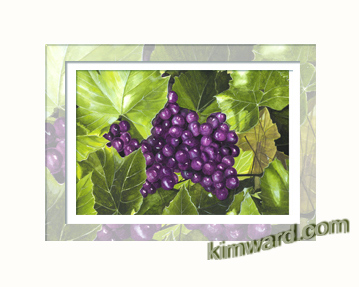 Grape Vine