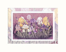iris mini print