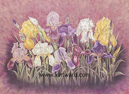 Iris Print, Garden Of Irises