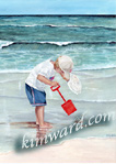 beach boy