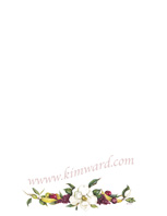 Magnolia And Fruit stationary