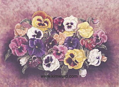 Pansy Parade