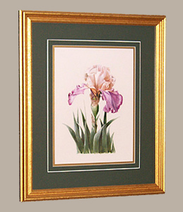 Framed Size 17 1/2 x 21 1/2  iris Painting
