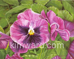 Watercolor Pansy Print