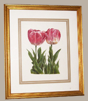 Framed Size 19 x 22 tulip Painting