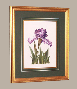 Framed Size 17 1/2 x 21 1/2  iris Painting