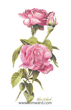 Forever a Rose