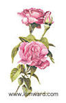 roses watercolor