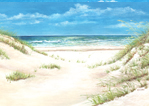 beach boy