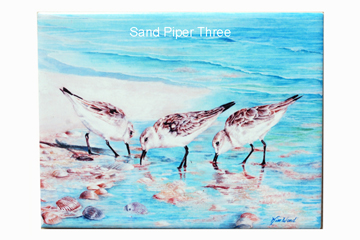 Three Sandpipers