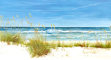 beach prints