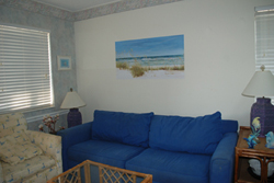 vinyl beach murals
