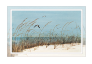 beach seagulls mini print