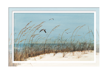 Seagulls Mat