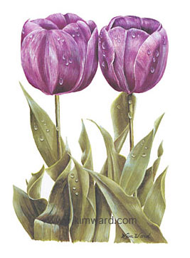 Iris print