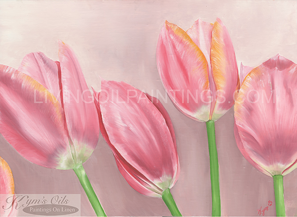 Pink Tulips