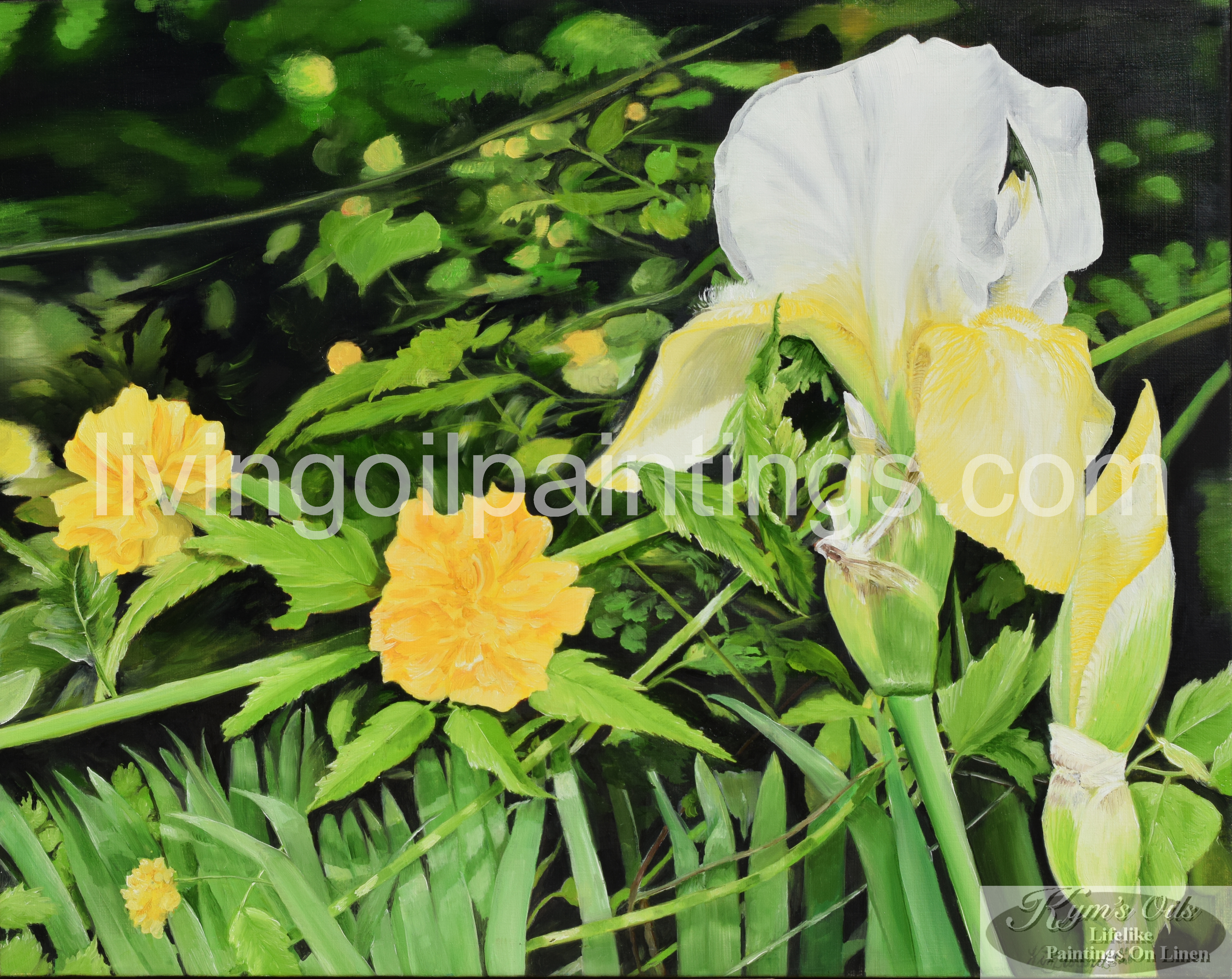 white-iris-l