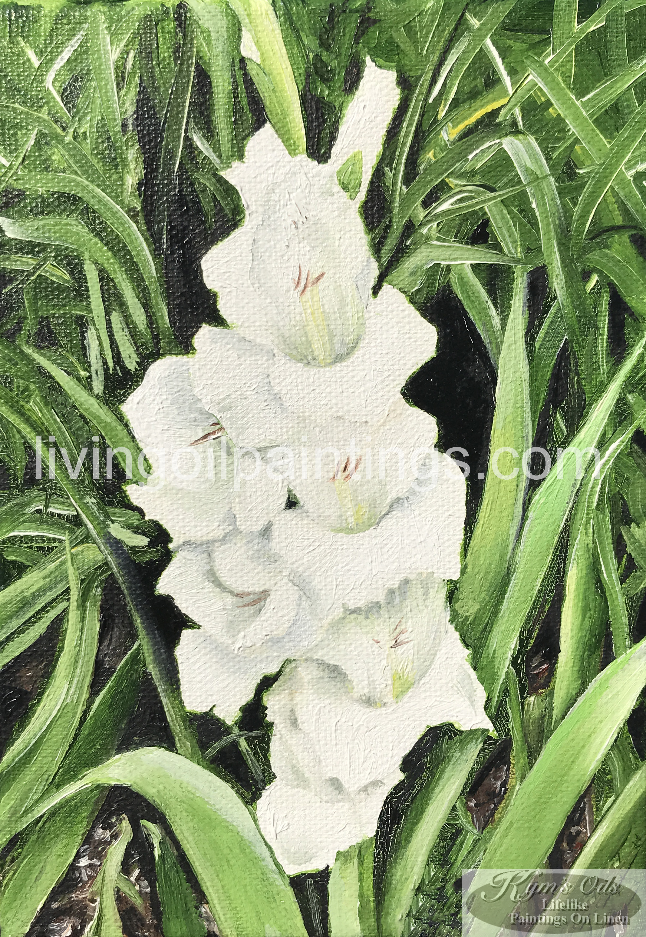 White Gladiola (SOLD)